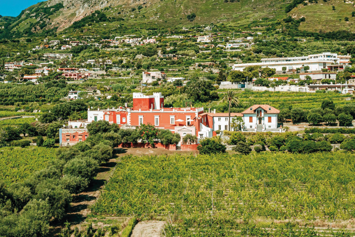 Andar per cantine 2024: percorso Biancolella