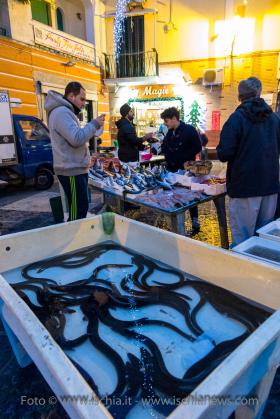 Vigilia di Natale e mercato del pesce a Forio isola d'Ischia