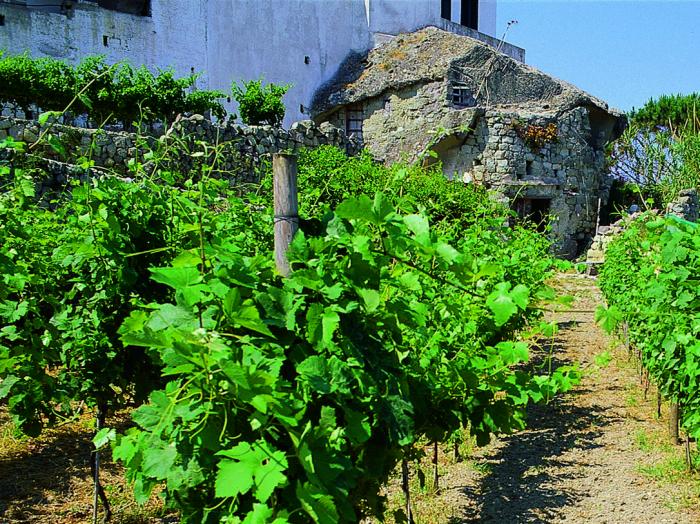 cantine-pietratorcia